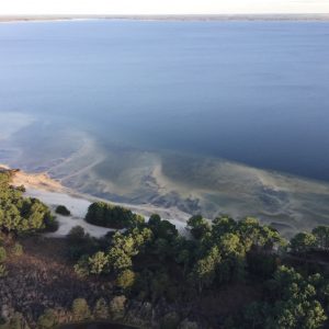 Lac de Cazaux